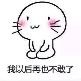 下次再也不敢了表情包