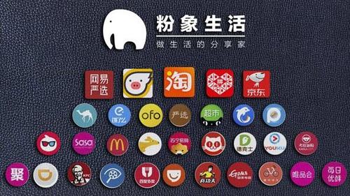 粉象生活等级和佣金
