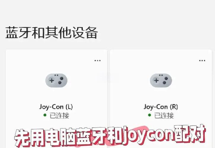 joycon如何两个人用图标