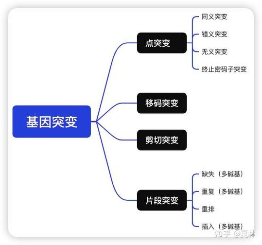 20个最常见的基因突变图标