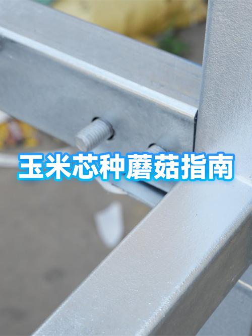 蘑菇怎么种植方法