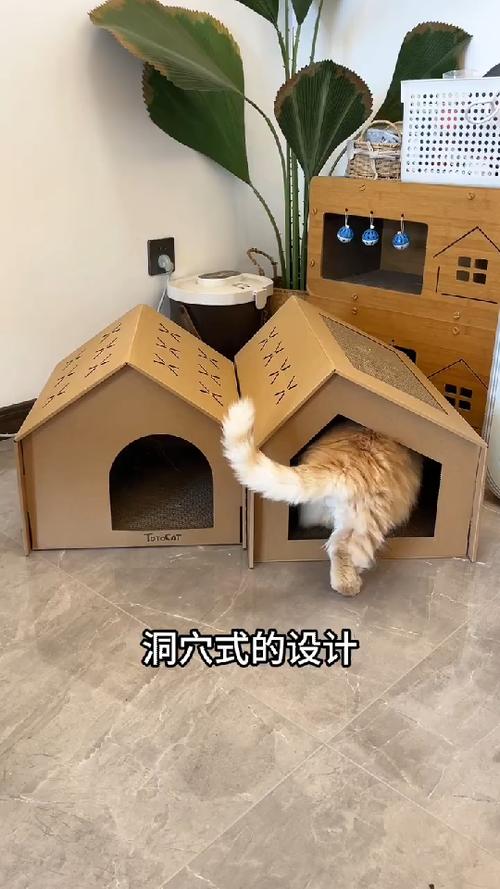小学生自制猫窝