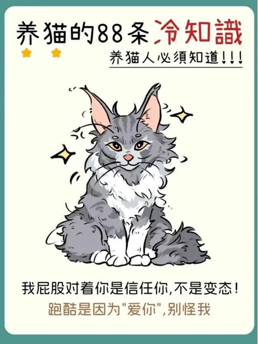 养猫须知图标