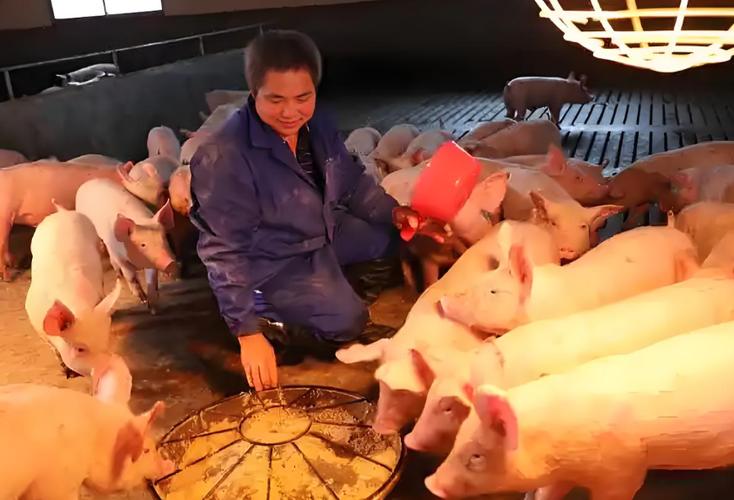 养猪利润大吗
