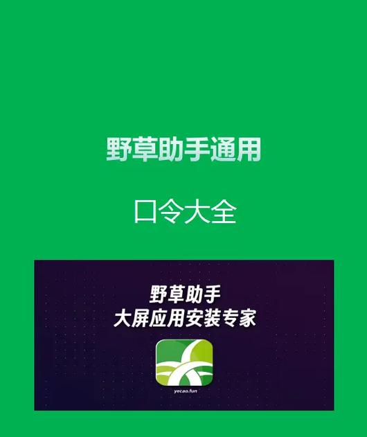 野草助手2024口令