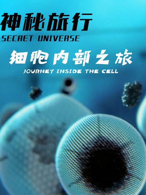 主角是一个细胞的小说
