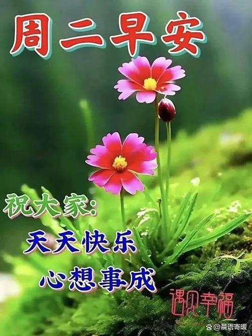 祝福玩得开心的祝福语