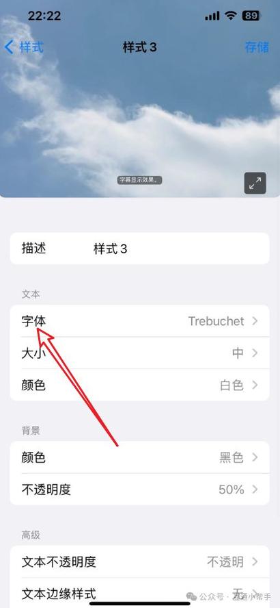 苹果怎么切换字体图标