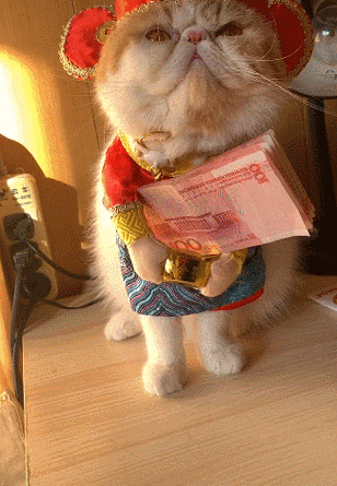 小猫赚钱
