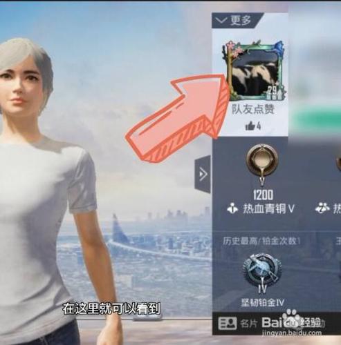 和平精英怎样换头像框