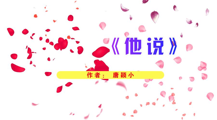寂寞寂寞就好 小说