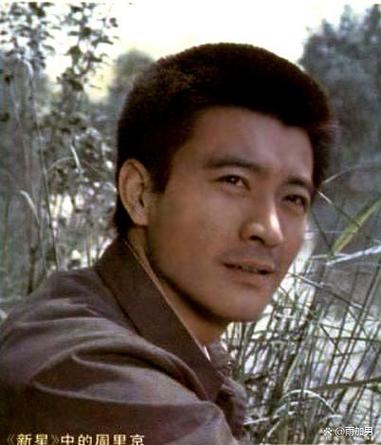 新星电视剧免费观看全集