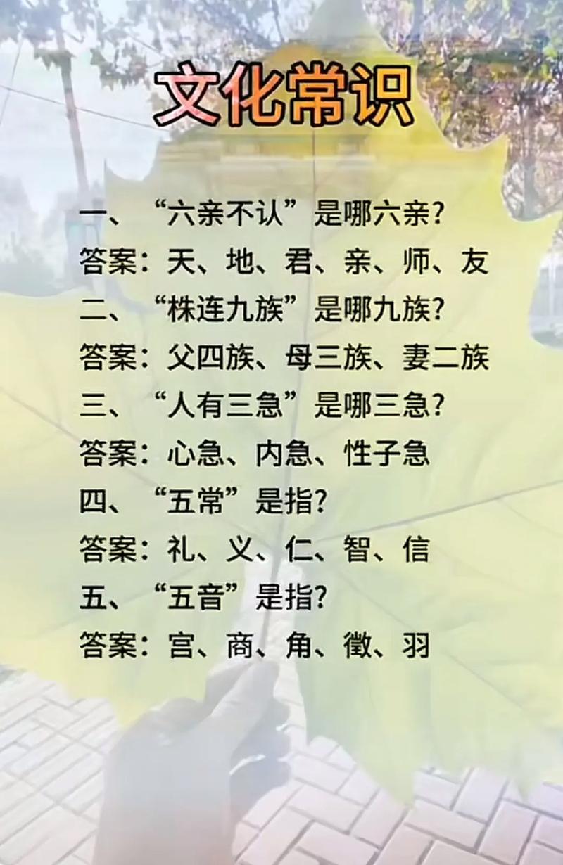 六亲不靠指哪六亲图标