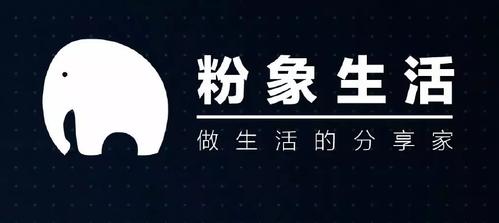 粉象生活加油返现