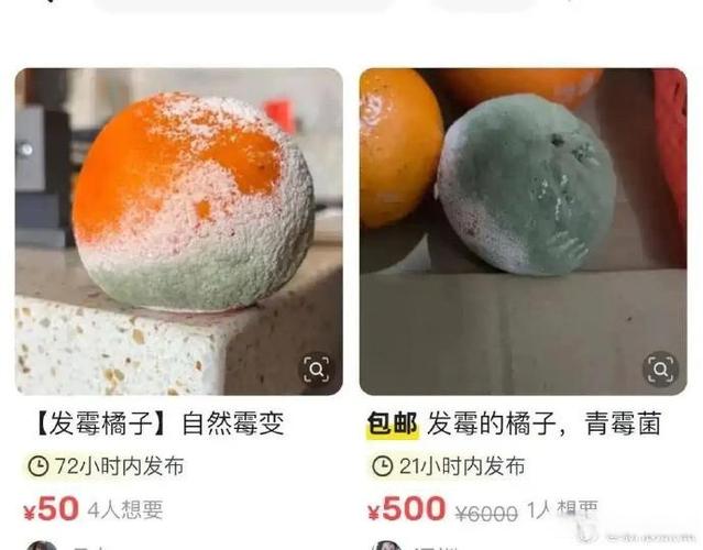 橘子转橘子赚转发
