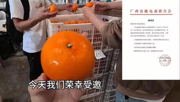 橘子转橘子赚转发