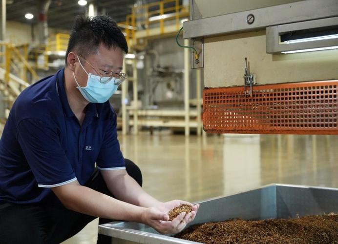 烟厂一线工人工作视频