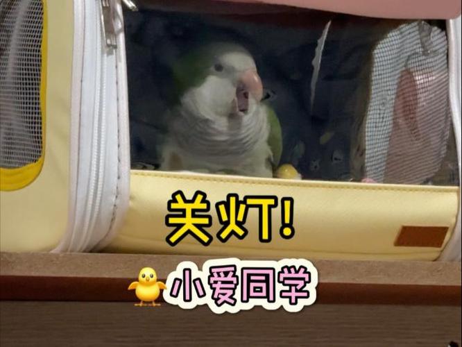 小爱同学可以关灯吗