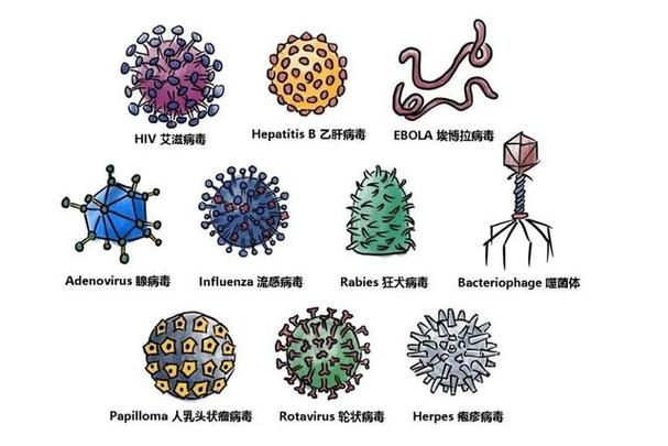 病毒BF图片图标