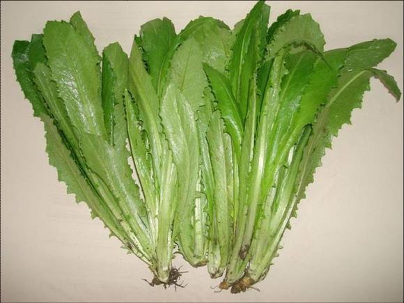 四种最脏的蔬菜