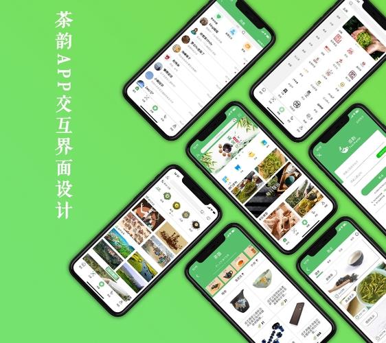 绿茶app特色