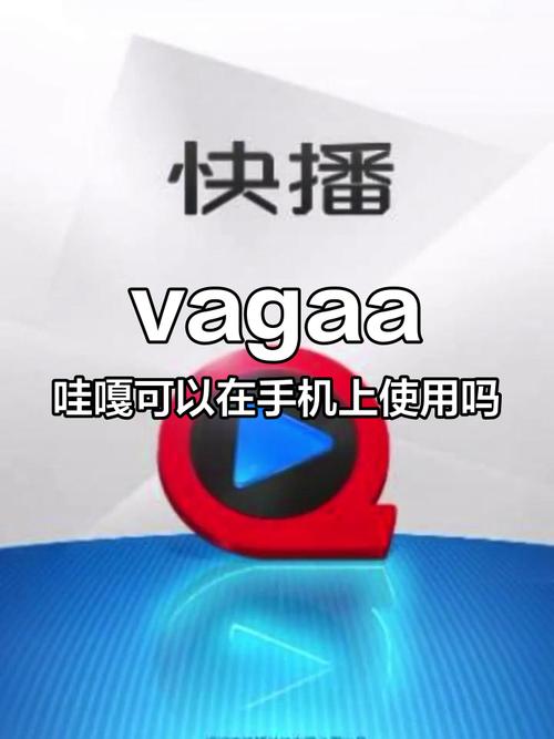 Vagaa为什么被禁用了
