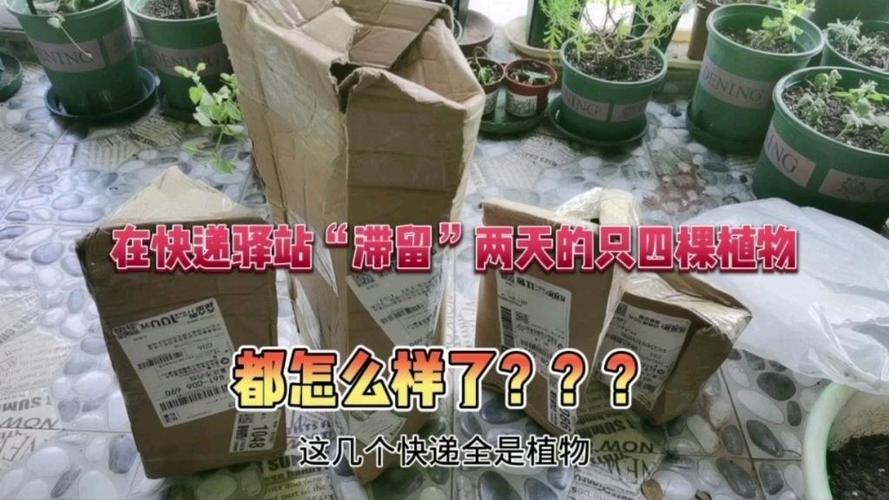 菜鸟驿站最多滞留多久