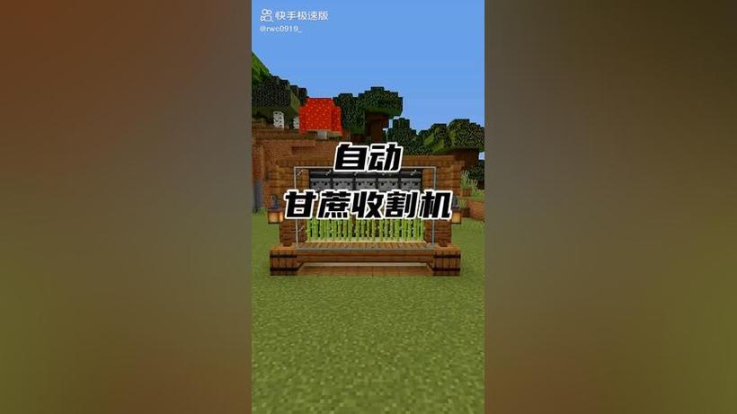 我的世界甘蔗自动机