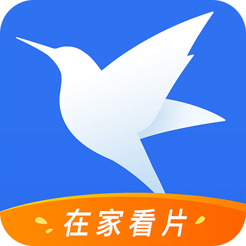 有没有类似迅雷的下载软件
