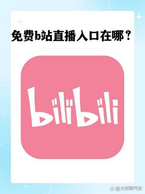 b站在看是什么意思