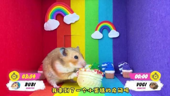 小仓鼠挑战屋