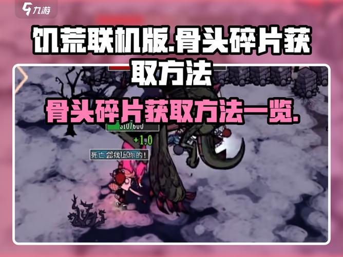 饥荒骨头碎片哪里有图标