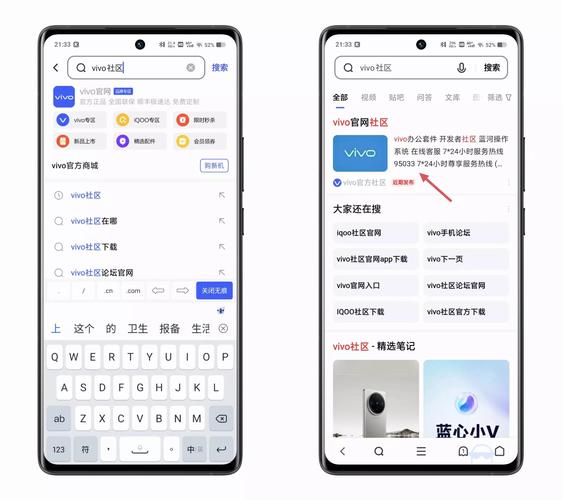 vivo文档12.2.3安装