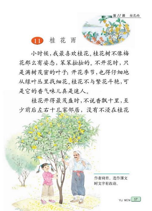 《桂花雨》七彩课堂图标