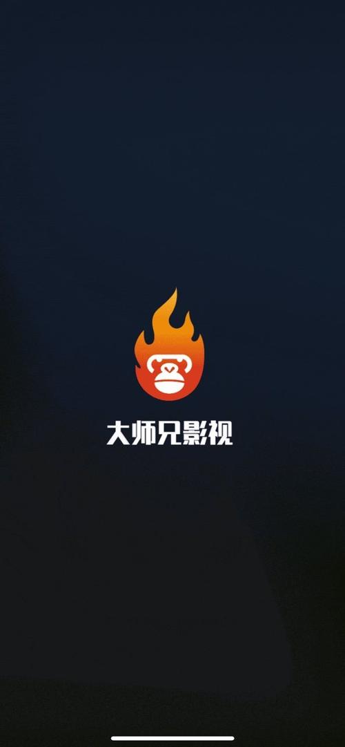 大师兄影视大全免费观看电视剧
