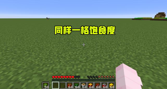 我的世界神秘果