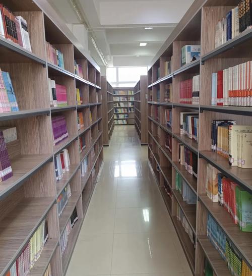 五六文学备用站