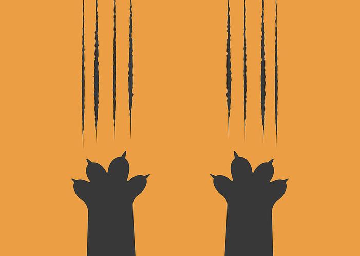 猫抓下载图标