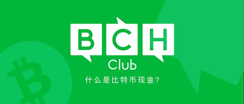 BCH是什么