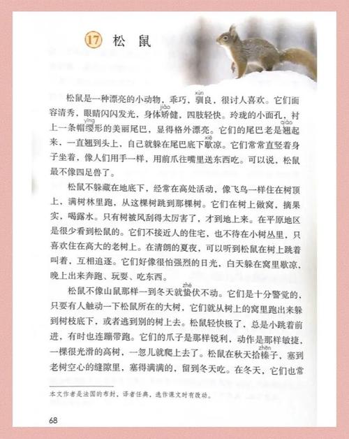 部落冲突黑松鼠脚本图标