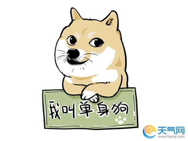光棍节图片表情包