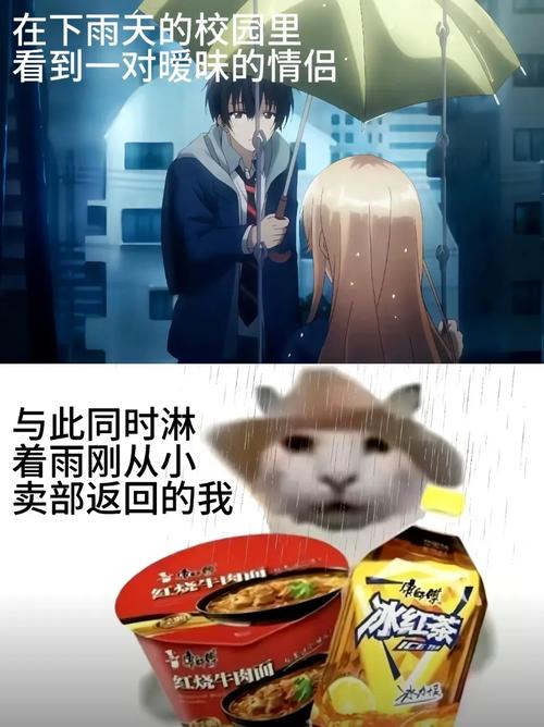 funmax骗了多少人
