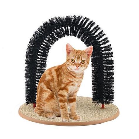 猫抓工具下载图标