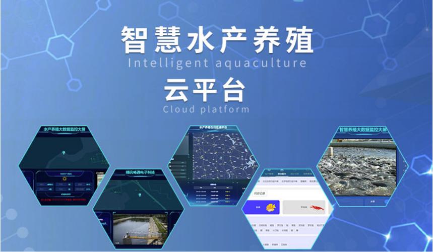 云养殖平台图标
