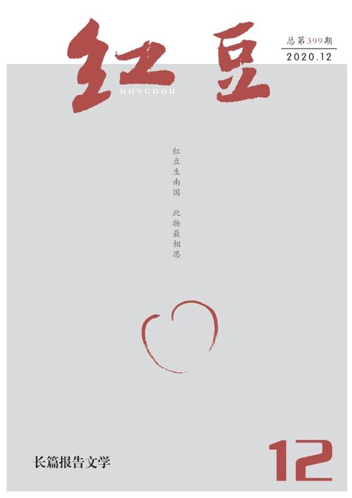 红豆小说全文免费阅读