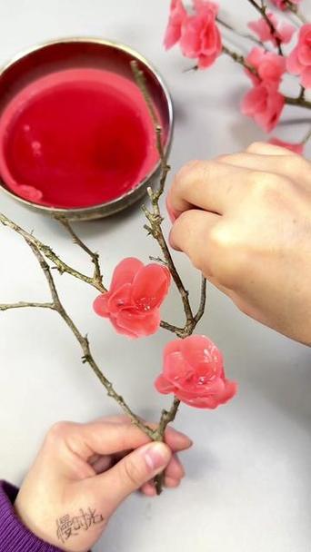 做梅花视频大全视频
