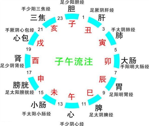 每日是指24还是12小时