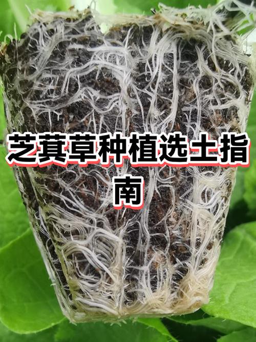 绿化种植土25元一方合理吗图标