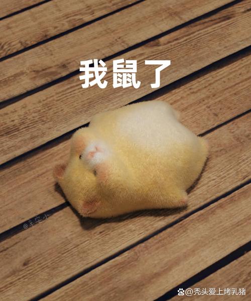 仓鼠表情包原图