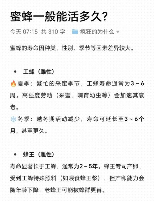 蜜蜂的寿命一般有多长